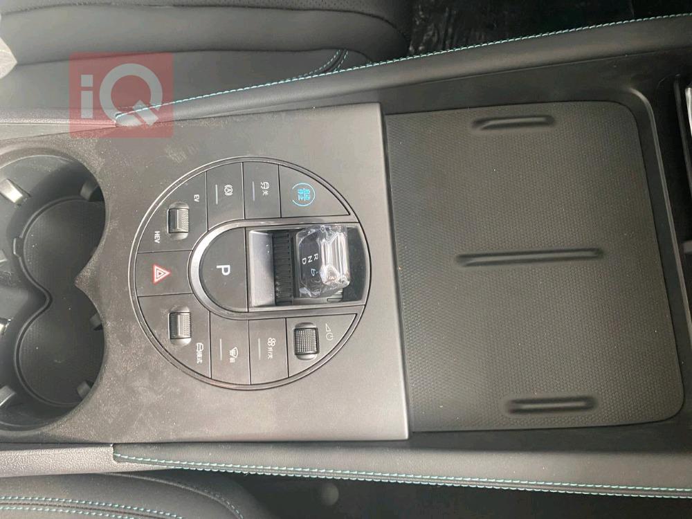 بي واي دي سيل 06 DM-i